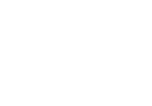 Nivis